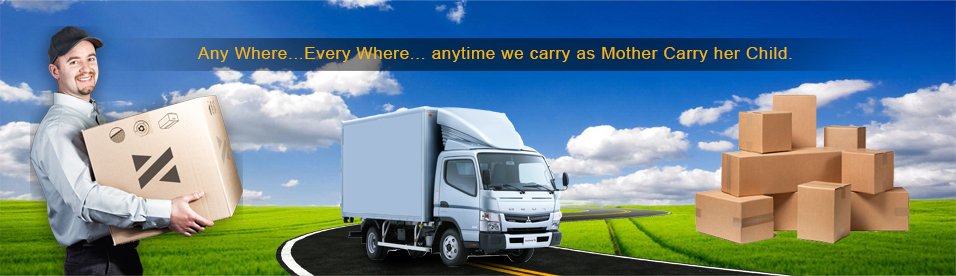 DTDC Movers and Packers - Pune