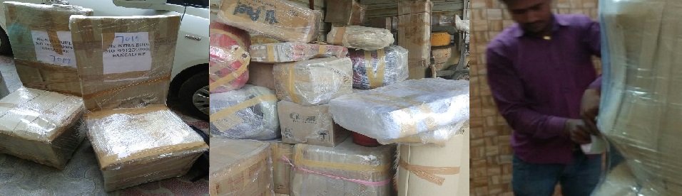 DTDC Movers and Packers - Pune